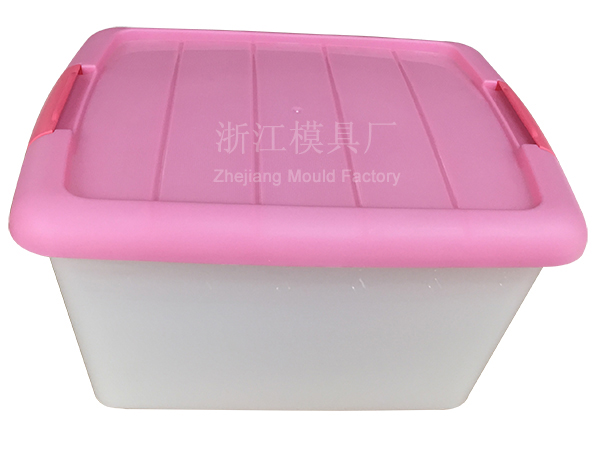 Storage box mould